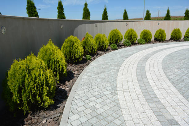 Best Interlocking Driveway Pavers  in Gibson, AR